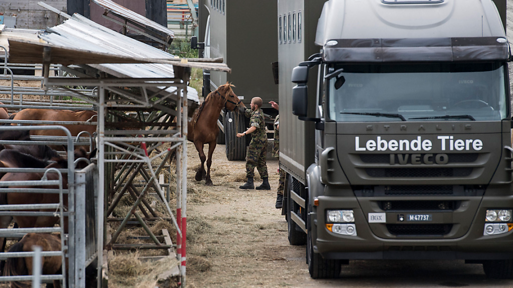Thurgauer Ex-Veterinäramts-Chef freigesprochen, © Keystone-SDA