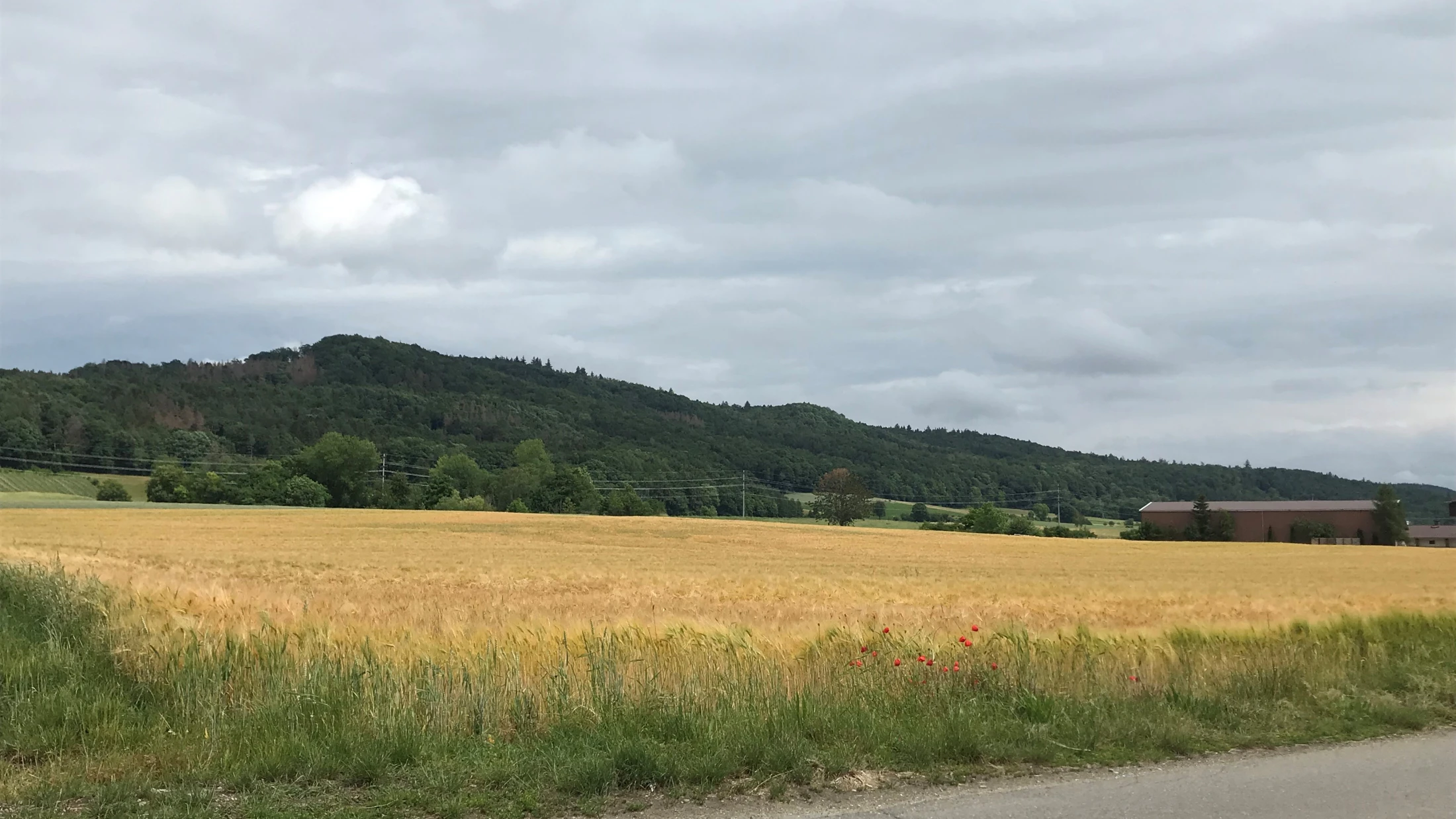 Symbolbild. Symbolbild.