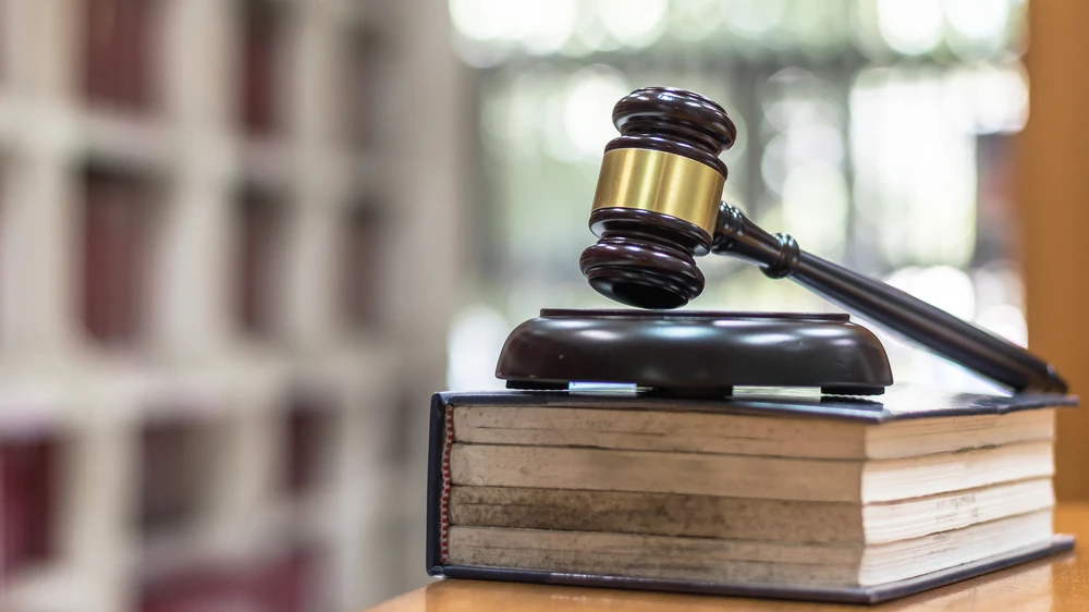 ‘Irk’ kelimesi Alman Anayasa’sında kalıyor!, © shutterstock ‘Irk’ kelimesi Alman Anayasa’sında kalıyor!, © shutterstock