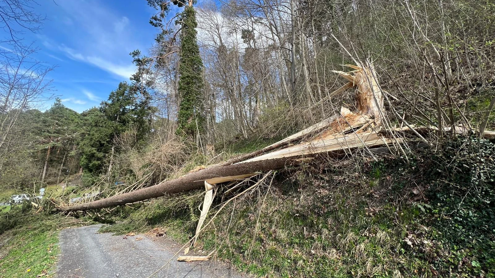 Amt für Umwelt warnt vor Sturmwind, © Amt für Umwelt Amt für Umwelt warnt vor Sturmwind, © Amt für Umwelt