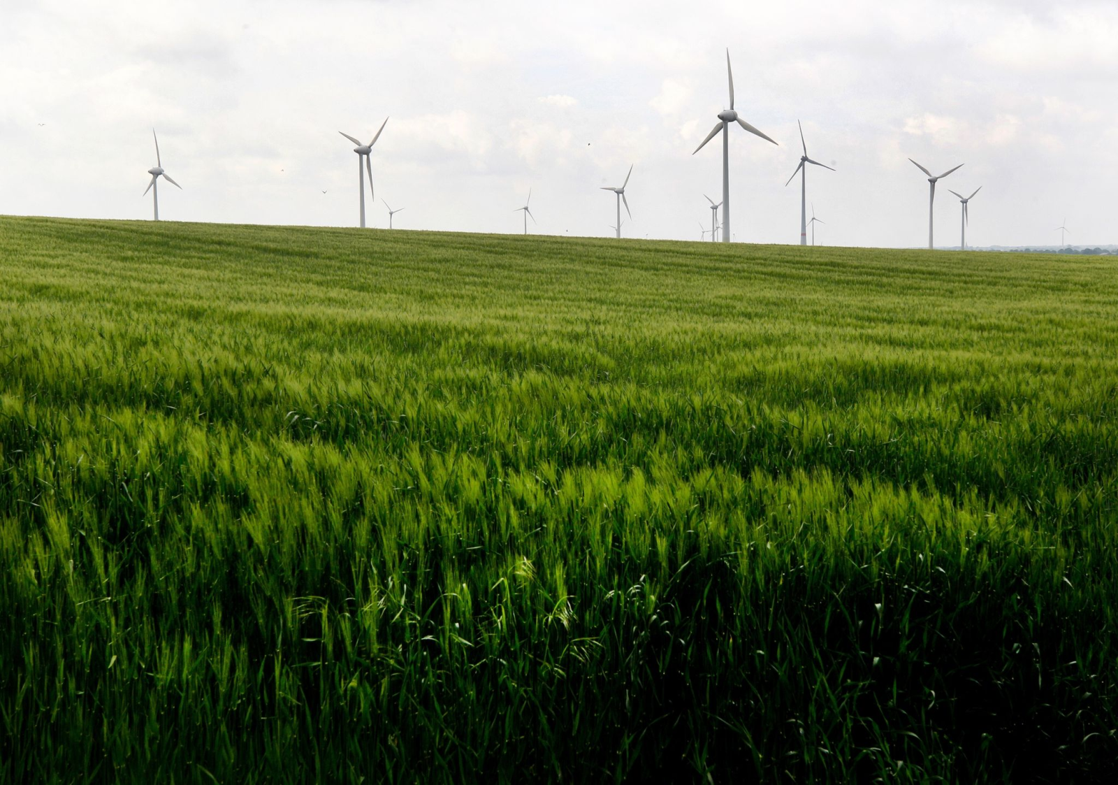 Windkraftanlagen hinter einem Feld.