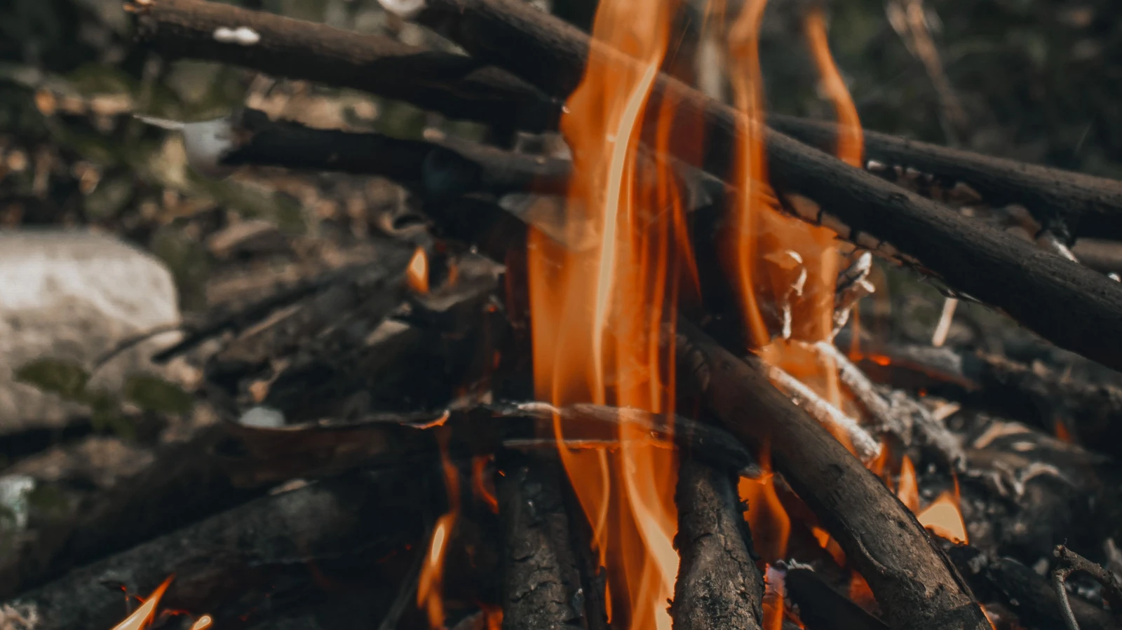 Baselland erlässt absolutes Feuerwerksverbot, © janam thapa Baselland erlässt absolutes Feuerwerksverbot, © janam thapa