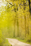 Das Jubiläumsfest im Hardwald