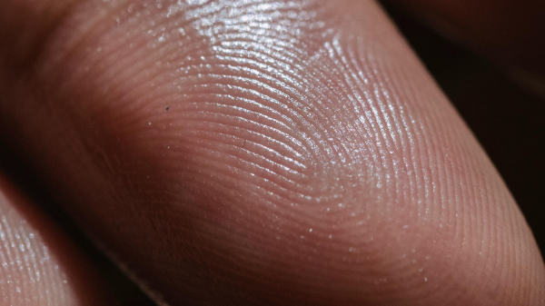 Wieso haben wir eigentlich Fingerabdrücke?, © Angela Roma