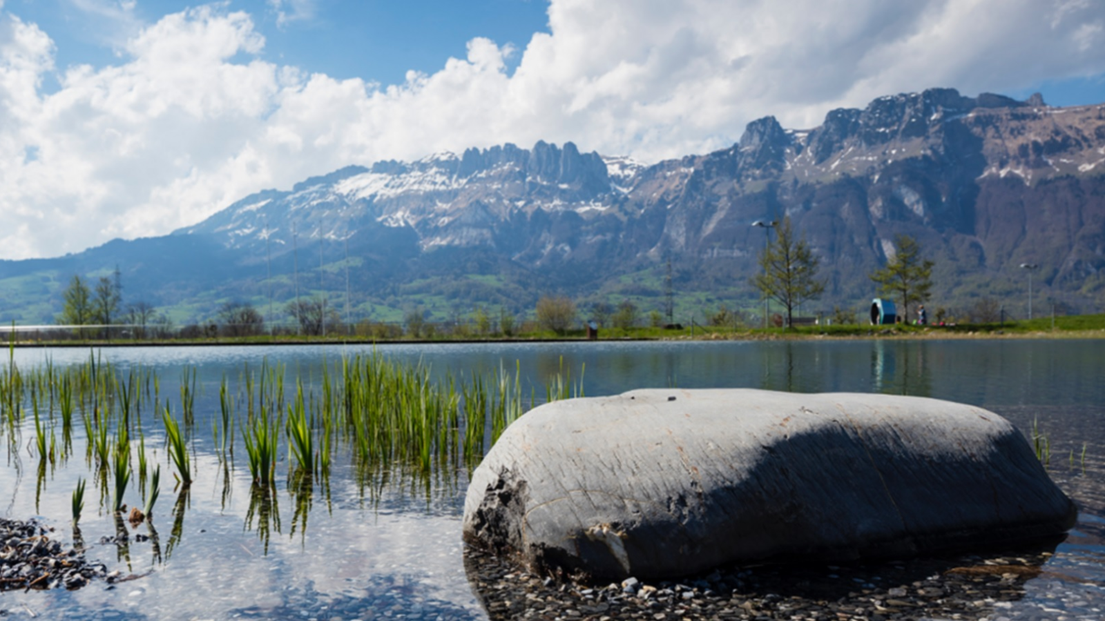 9. Neujahrsschwimmen, © ZVG