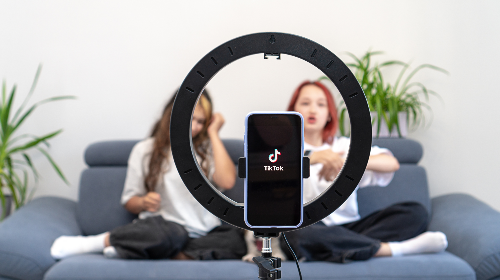 Tiktok Almanya’da Yasaklansın mı?, © shutterstock