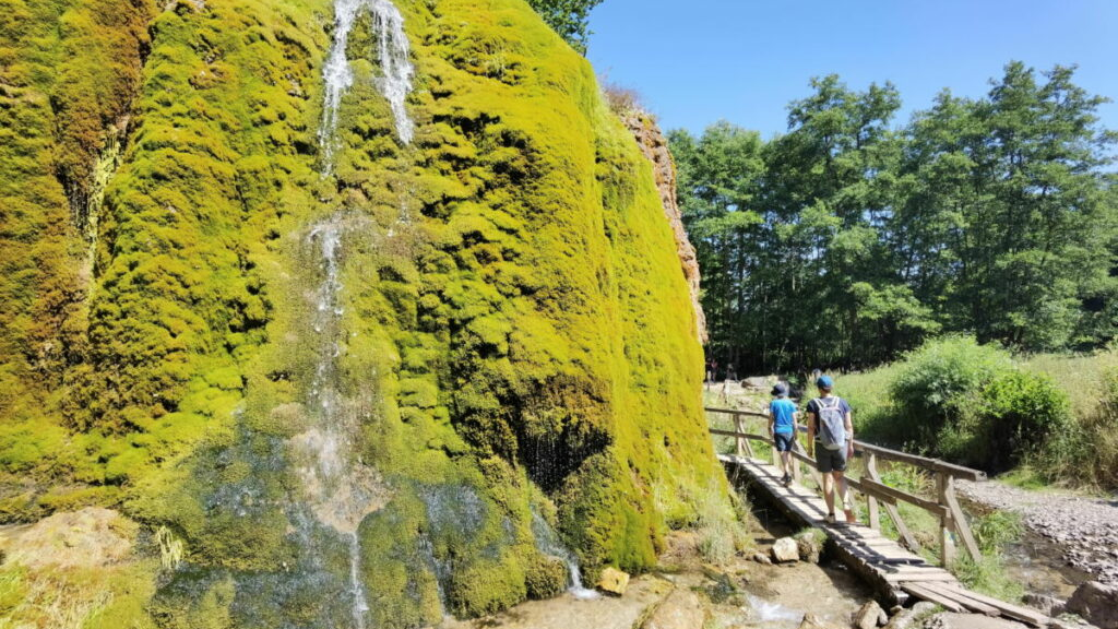 Almanya'nın en güzel yürüyüş parkuru “Vulkan Eifel” seçildi, © Dreimuehlen