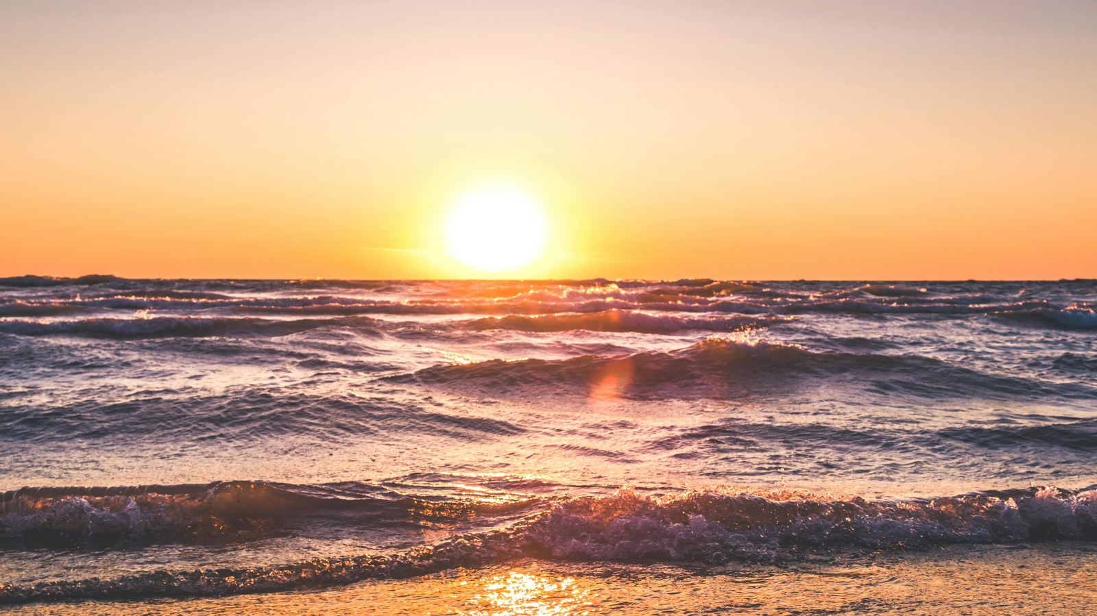 BLUE GEM, Alo, © Travis Rupert