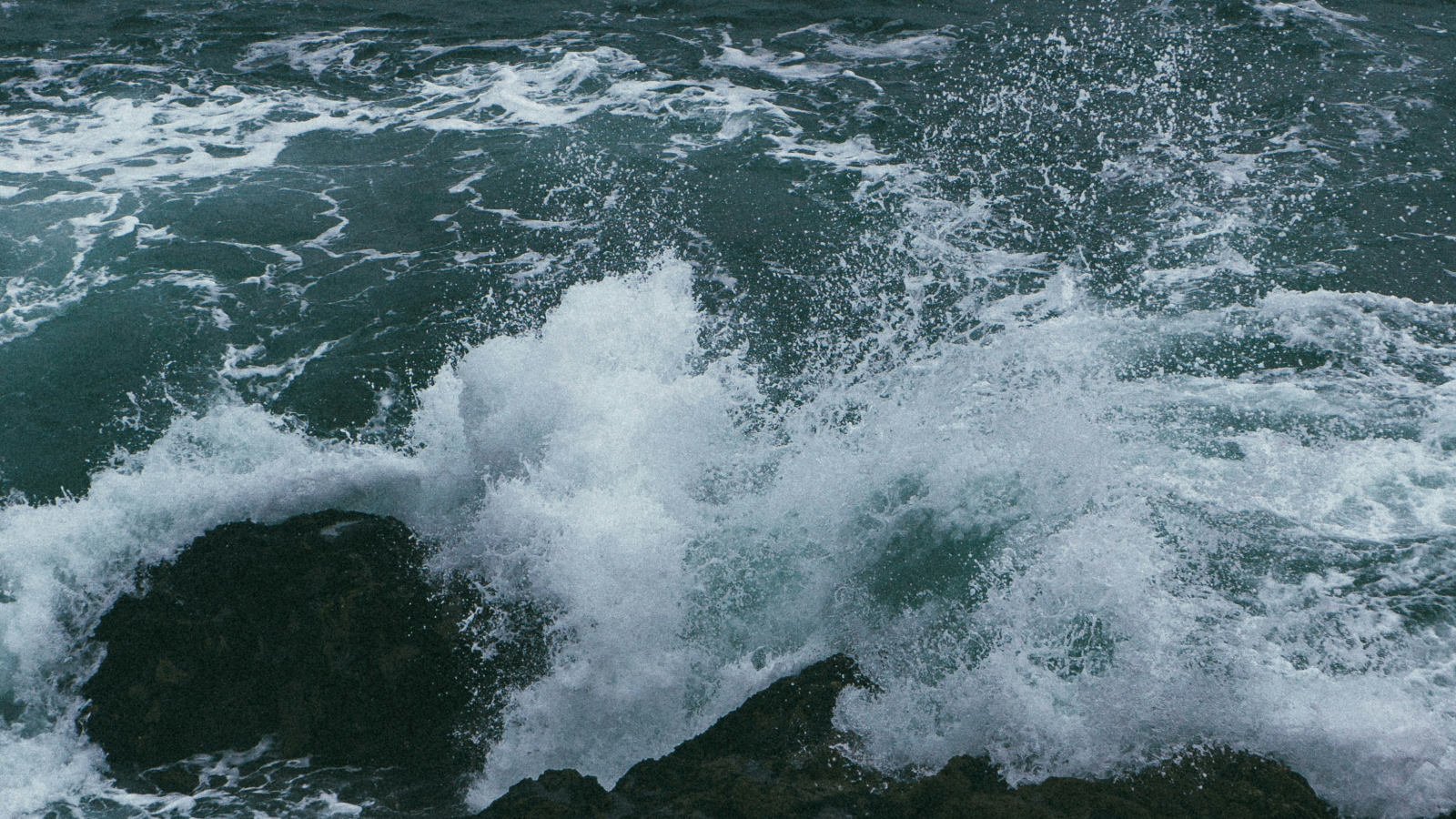 Feuerwehrmann stirbt bei Rettungsaktion in Oberbayern, © Unsplash/Tobias Tullius