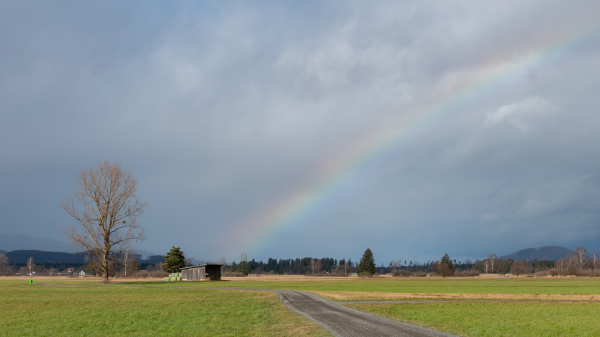 Cemre Havaya Düştü: Baharın İlk İşareti, © shutterstock