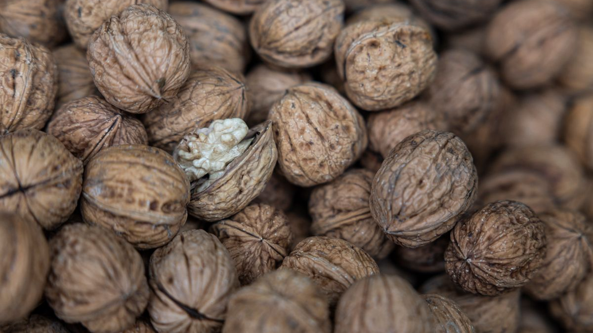 Her Gün Bir Avuç Ceviz: Vücuda Şaşırtıcı Faydalar Sağlıyor!, © Hannes P Albert/dpa