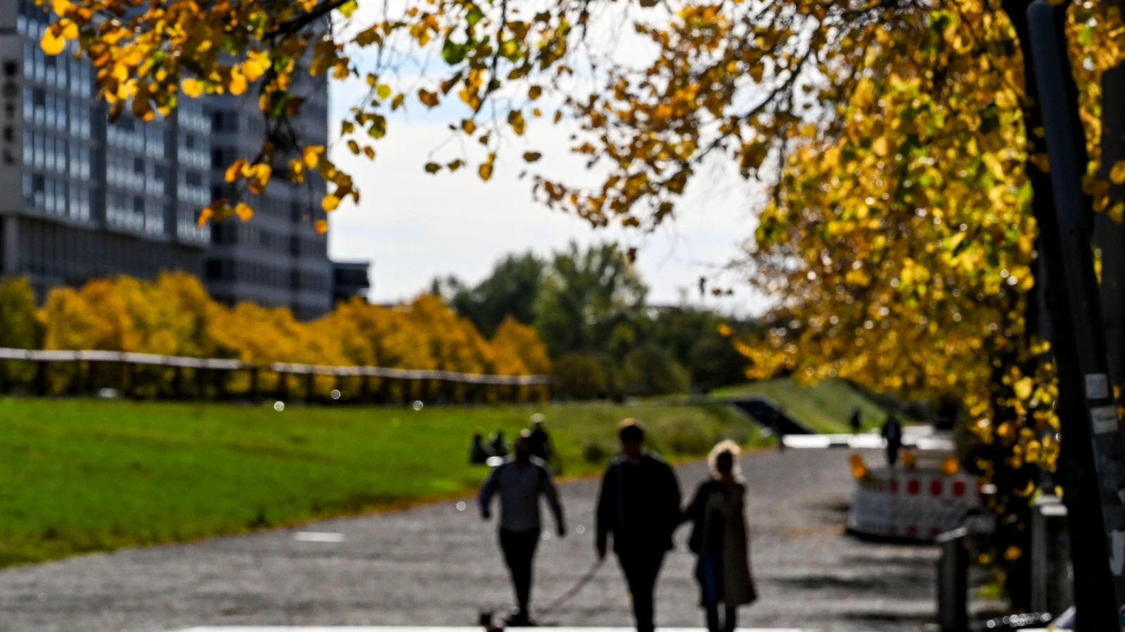 Berlin’de Güneşli Sonbahar Havası Hafta Sonu Etkili Olacak!, © dpa Berlin’de Güneşli Sonbahar Havası Hafta Sonu Etkili Olacak!, © dpa