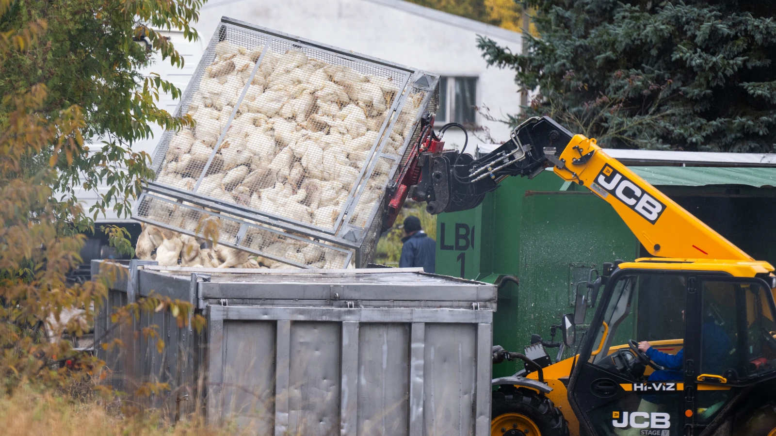 Kuş Gribi Yayılıyor: Yumurta Fiyatlarında %50 Artış Uyarısı, © Christophe Gateau/dpa Kuş Gribi Yayılıyor: Yumurta Fiyatlarında %50 Artış Uyarısı, © Christophe Gateau/dpa