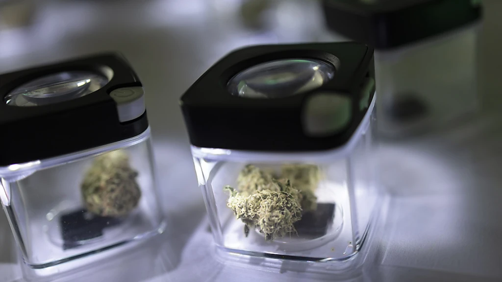 St. Galler Staatsanwaltschaft mit steigendem Pendenzenberg, © Keystone / SDA St. Galler Staatsanwaltschaft mit steigendem Pendenzenberg, © Keystone / SDA