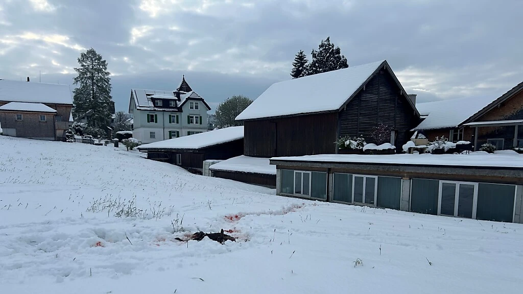 Wolf besucht Region zwischen Teufen und Gais, © Keystone / SDA Wolf besucht Region zwischen Teufen und Gais, © Keystone / SDA