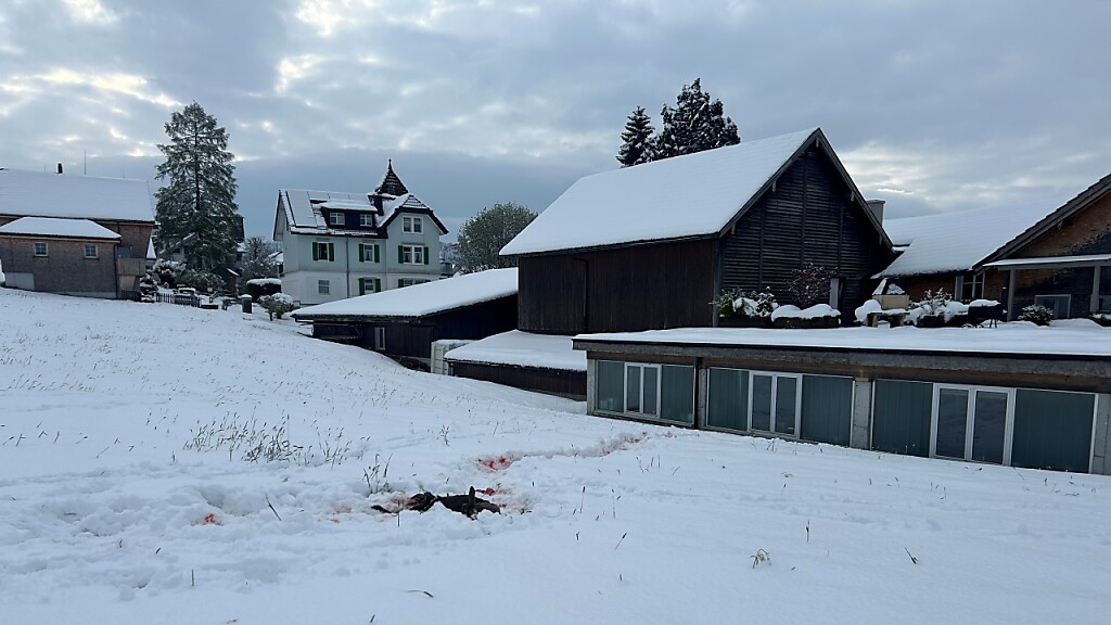 Wolf besucht Region zwischen Teufen und Gais, © Keystone / SDA