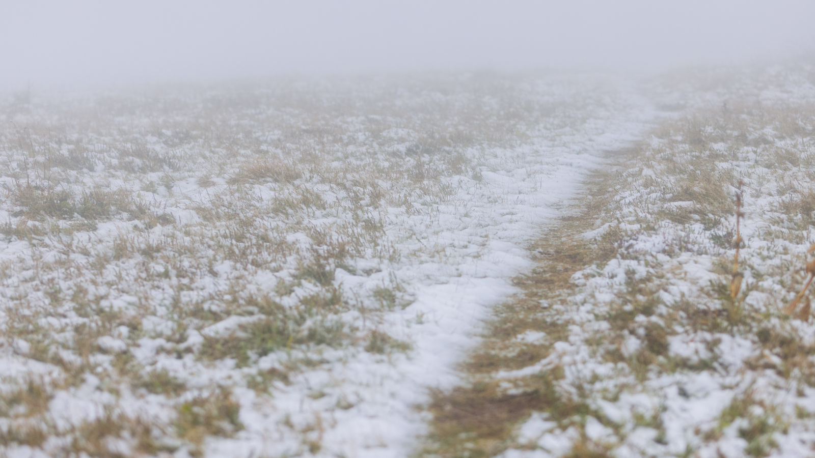 Feldberg'e İlk Kar Yağdı: Kış Sezonu Yaklaşıyor, © dpa