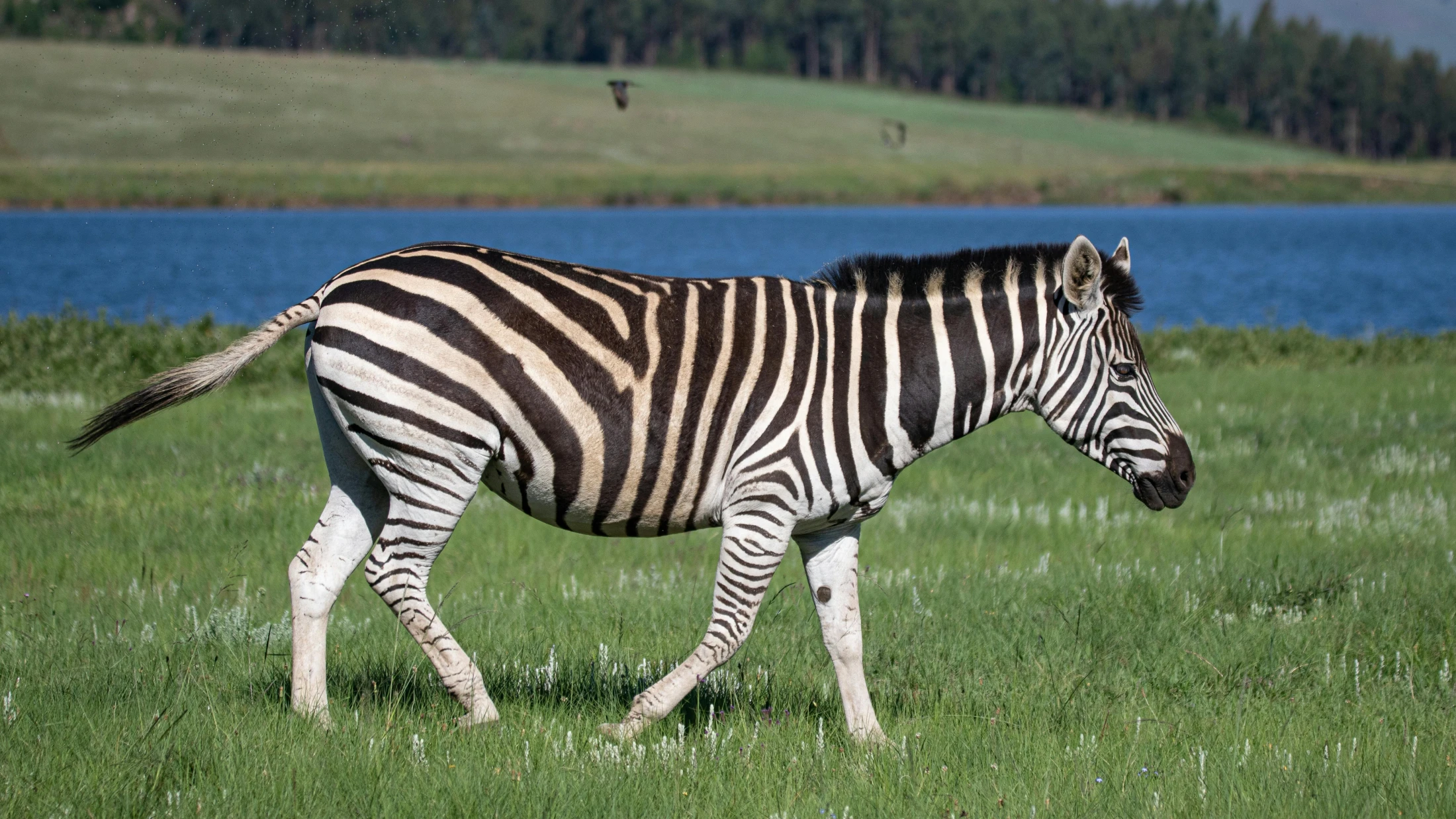 © Magda Ehlers © Magda Ehlers