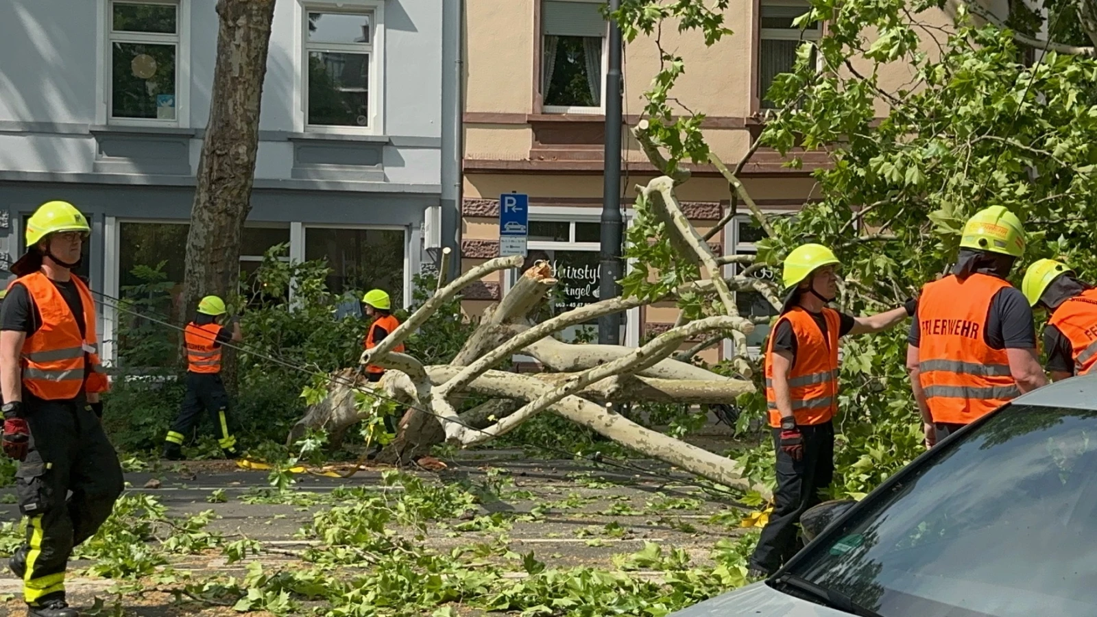 Frankfurt’ta Tramvay Hattına Ağaç Düşmesi Ulaşımı Felç Etti!, © Heinrich Schlüter/dpa Frankfurt’ta Tramvay Hattına Ağaç Düşmesi Ulaşımı Felç Etti!, © Heinrich Schlüter/dpa