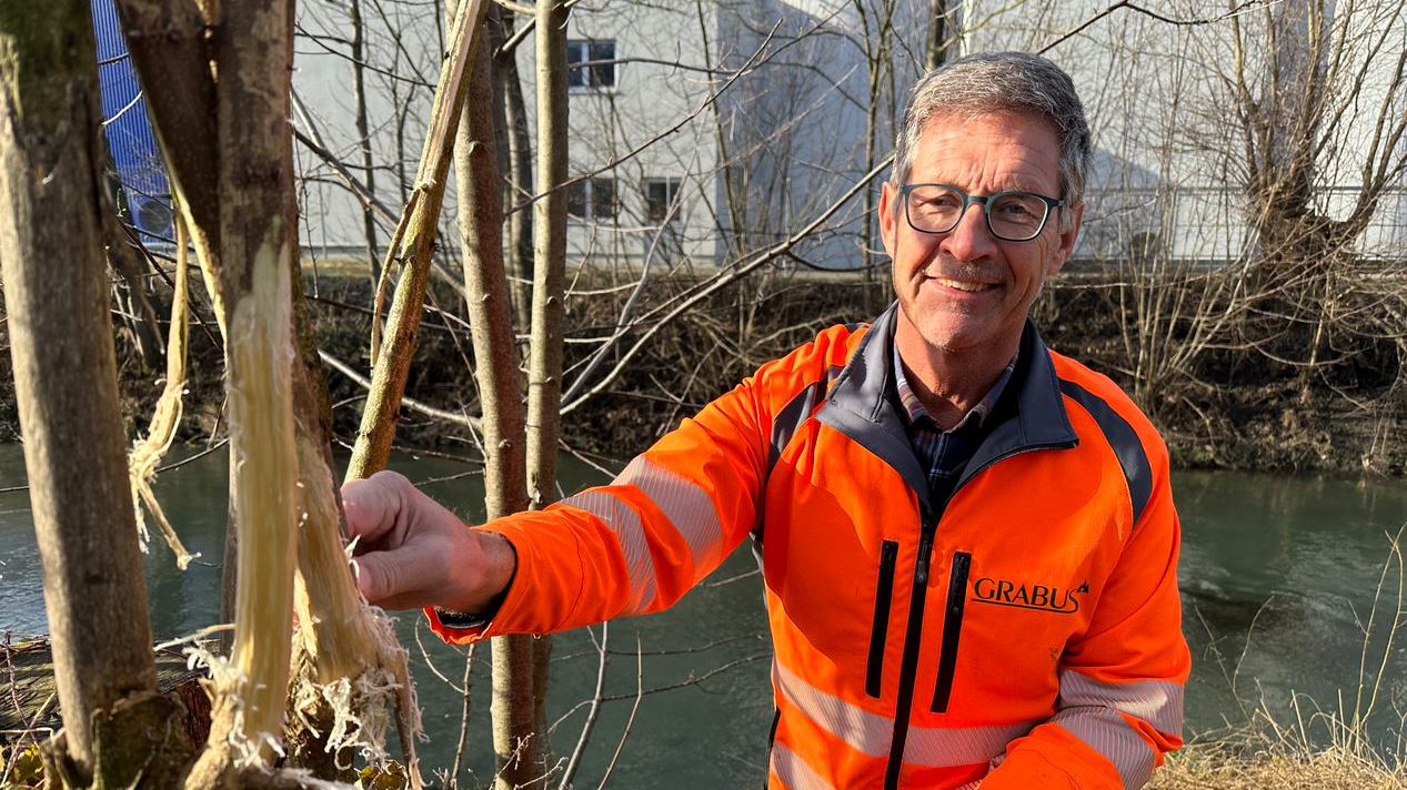 Robinien breiten sich zu stark aus, © ZVG