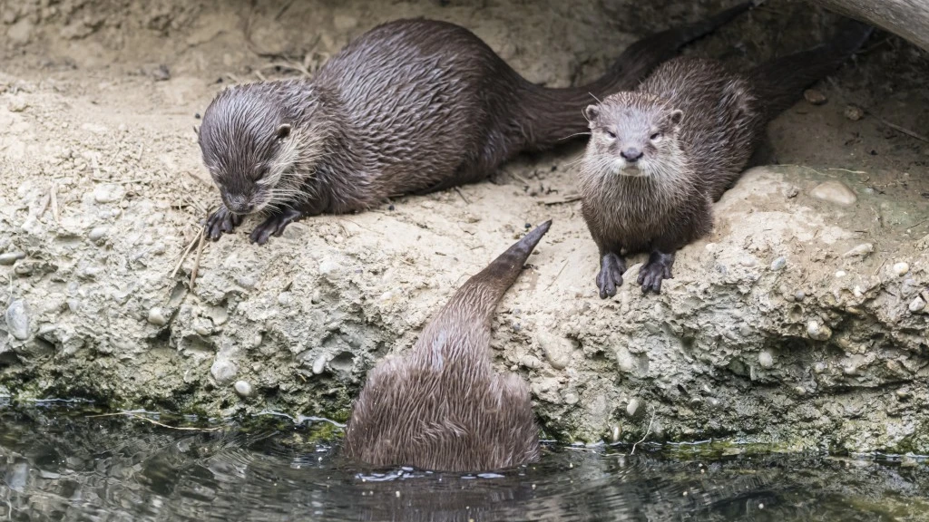 © Zoo Basel © Zoo Basel