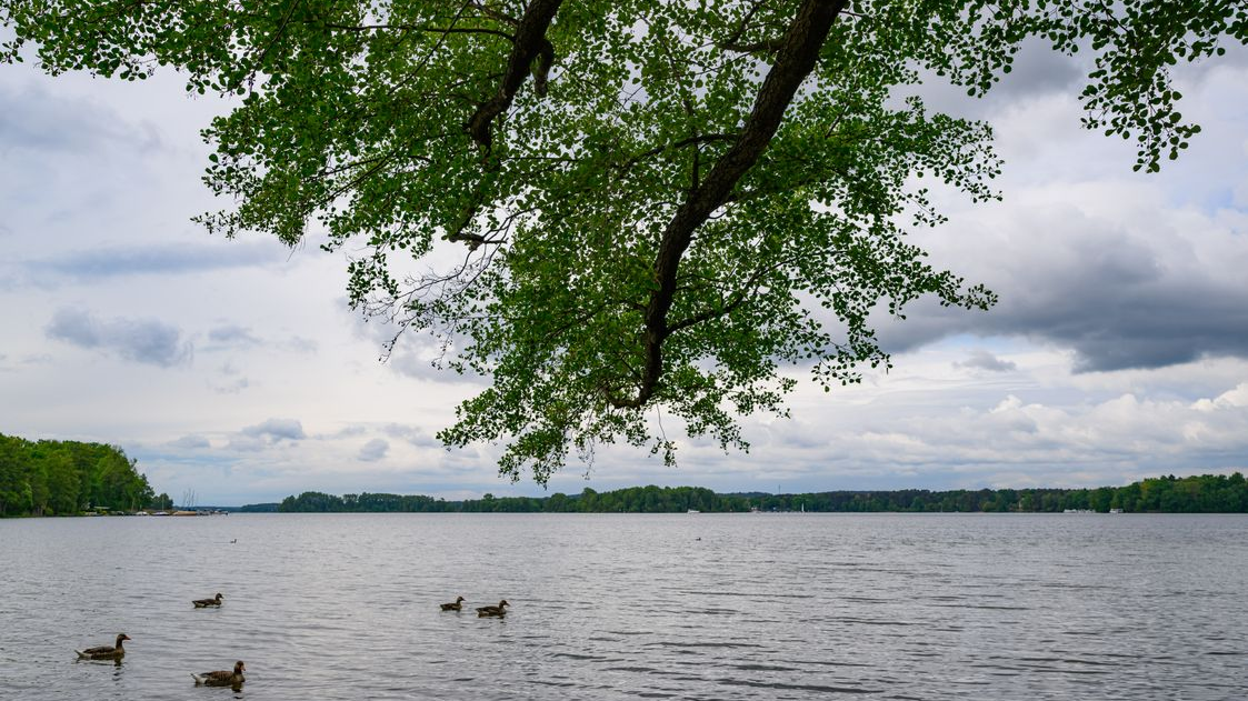 Babalar Günü Kazası Ucuz Atlatıldı!, © Patrick Pleul/dpa