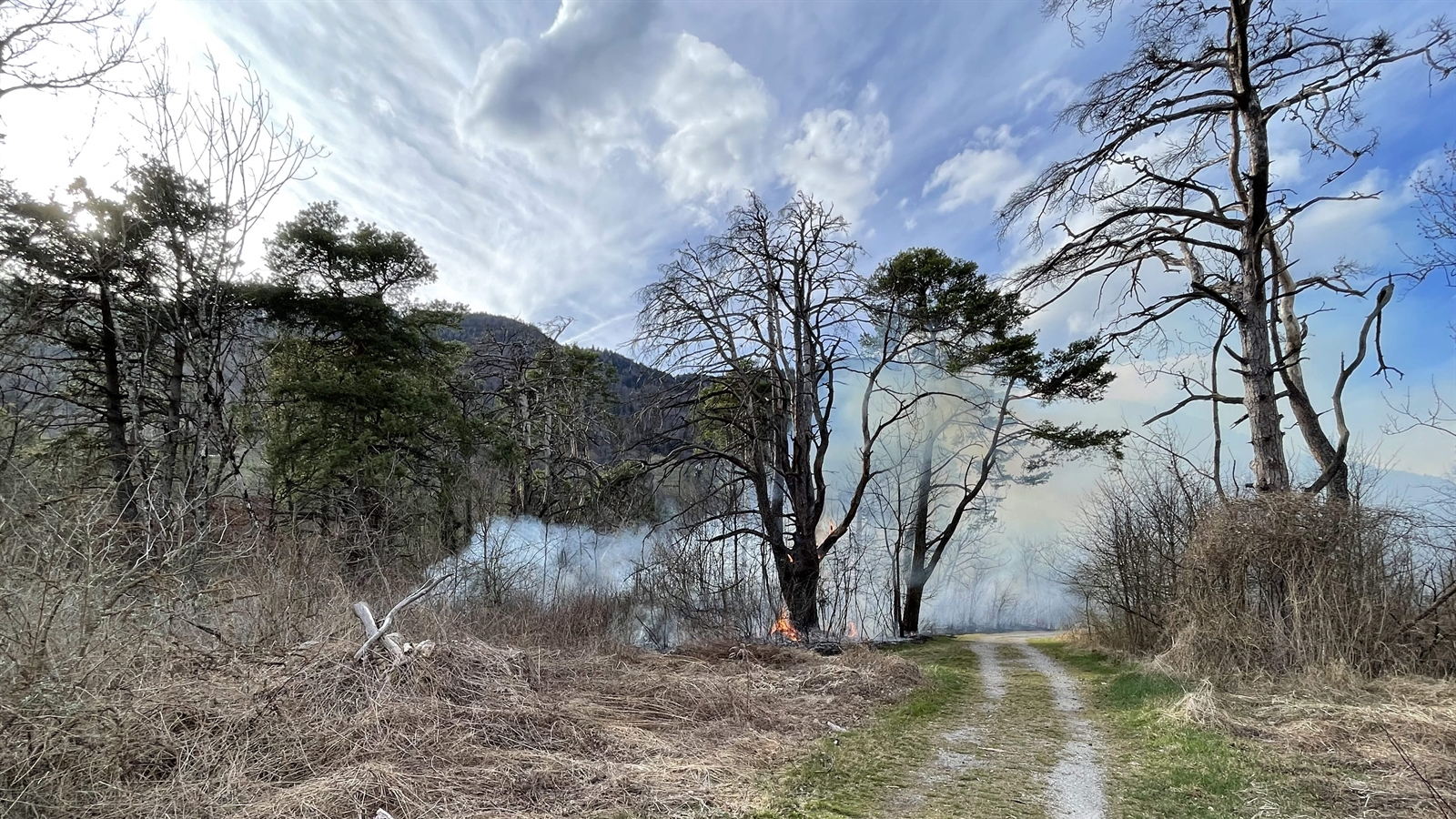 Waldbrand in Zizers löst Feuerwehreinsatz aus, © Kantonspolizei Graubünden