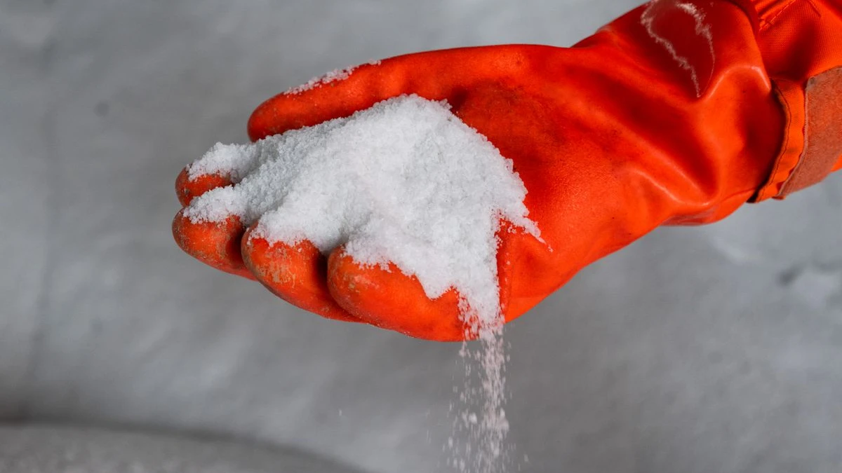 Berlin’de Özel Tuz Kullanımına Yeniden Yasak!, © Christophe Gateau/dpa Berlin’de Özel Tuz Kullanımına Yeniden Yasak!, © Christophe Gateau/dpa