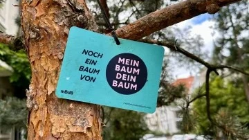 © Mein Baum Dein Baum © Mein Baum Dein Baum