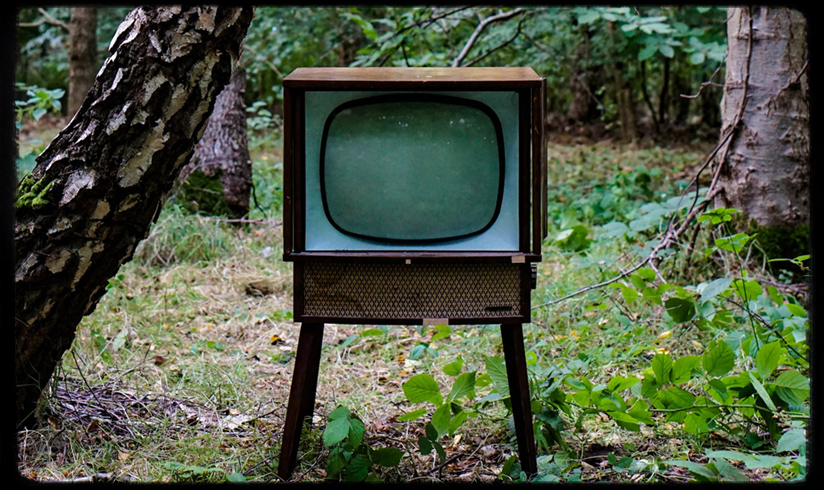 Zehn beeindruckende Umwelt-Dokus, © Unsplash | Tom Wheatley