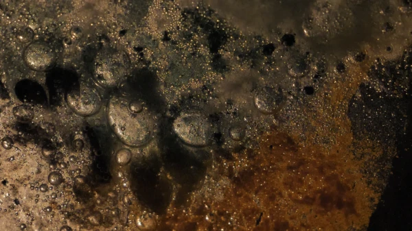 © image by by Bahzad Sulaiman Daniele Patton Diego Gonzalez Gabriele Bertotti © image by by Bahzad Sulaiman Daniele Patton Diego Gonzalez Gabriele Bertotti