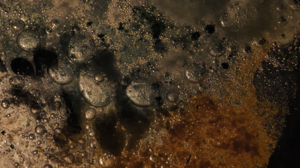 © image by by Bahzad Sulaiman Daniele Patton Diego Gonzalez Gabriele Bertotti