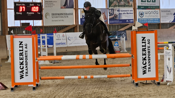 Schaffhauser Reitelite zeigt sein Können im Schweizersbild, © Radio Munot