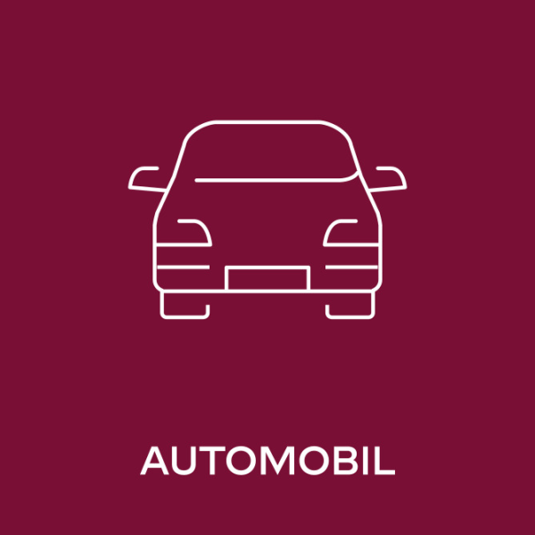 Auto Icon, © https://www.seven.one/documents/20182/8892646/01_Genre_MaxReach.svg