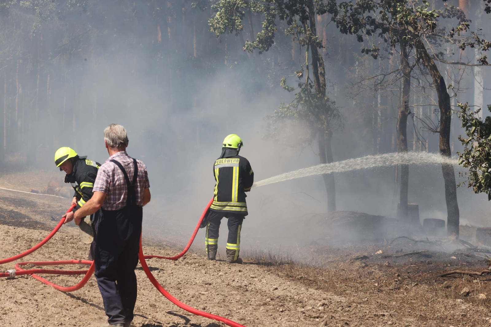 Feuerwehrleute bekämpfen den Brand eines Waldstücks in Kleinwolschendorf.