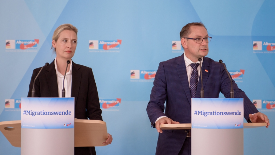 Anayasayı Koruma Dairesi AfD’yi incelemesini sürdürüyor!, © shutterstock