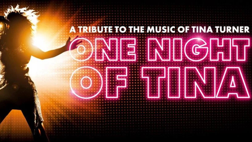 One Night Of Tina One Night Of Tina
