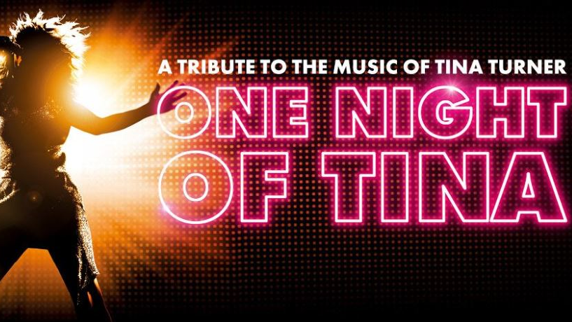 One Night Of Tina