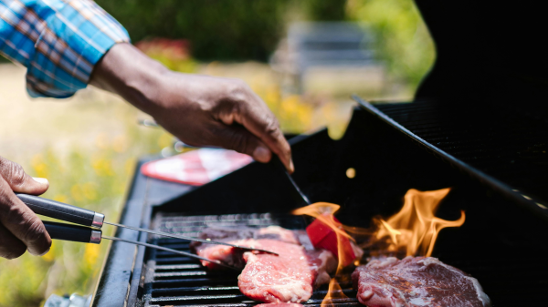 Grillkurs? Klar!, © RDNE Stock project