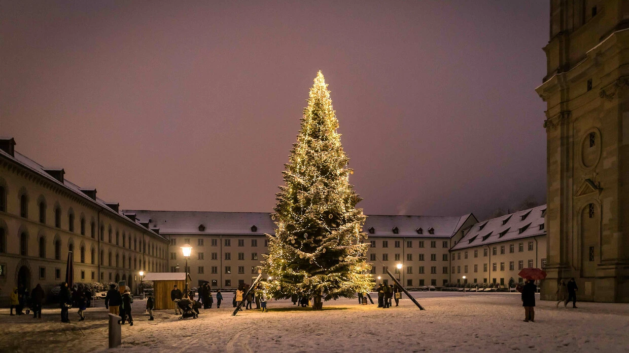 Weihnachtsbaum St. Gallen kommt geflogen, © bodensee.eu Weihnachtsbaum St. Gallen kommt geflogen, © bodensee.eu