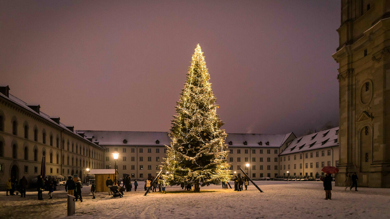 Weihnachtsbaum St. Gallen kommt geflogen, © bodensee.eu 