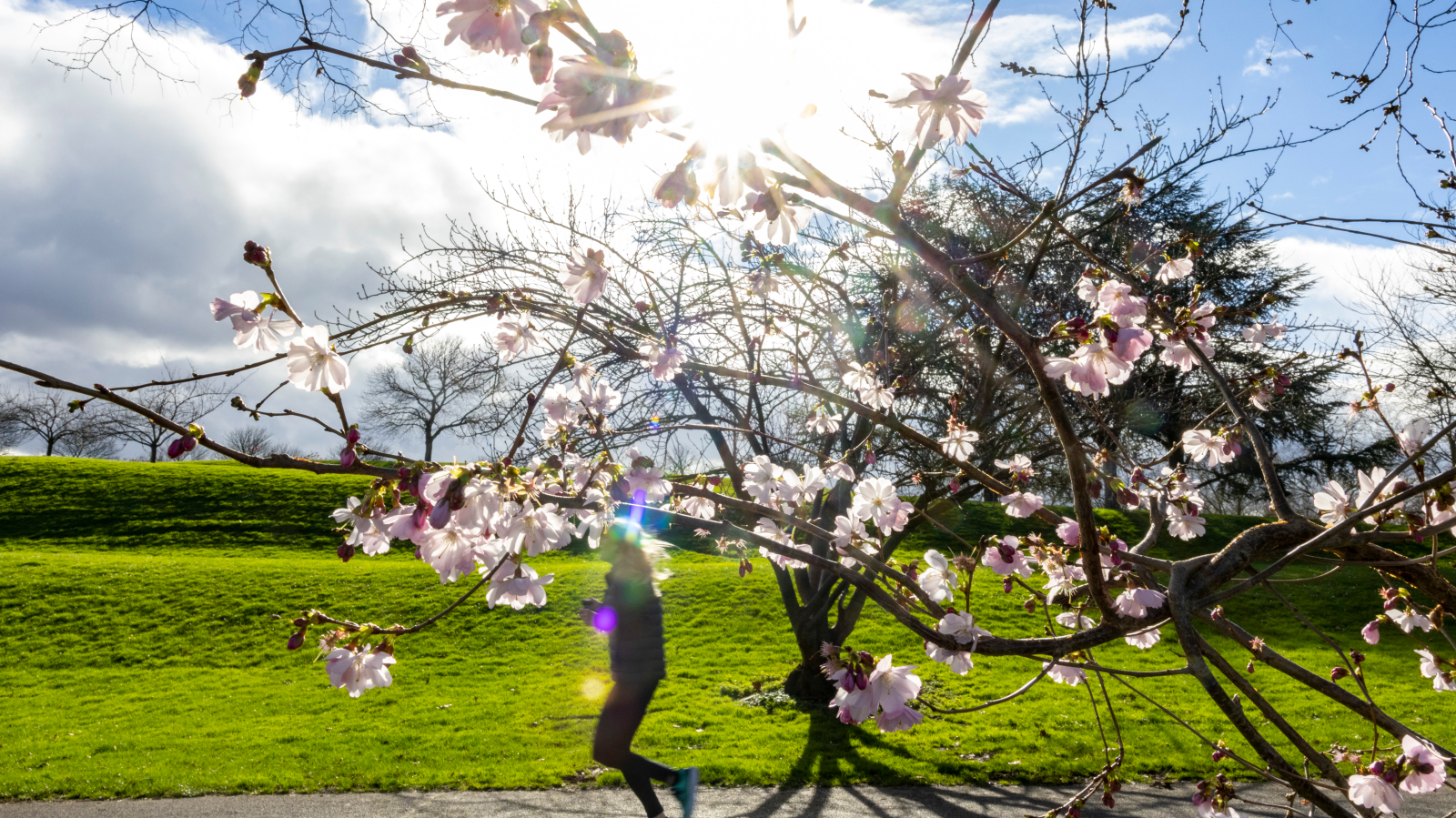 Vitamin D ve K2: Birlikte Almak Gerçekten Gerekli mi?, © Thomas Banneyer/dpa