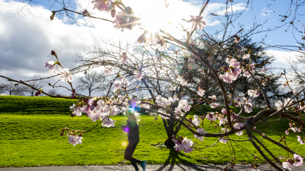 Vitamin D ve K2: Birlikte Almak Gerçekten Gerekli mi?, © Thomas Banneyer/dpa