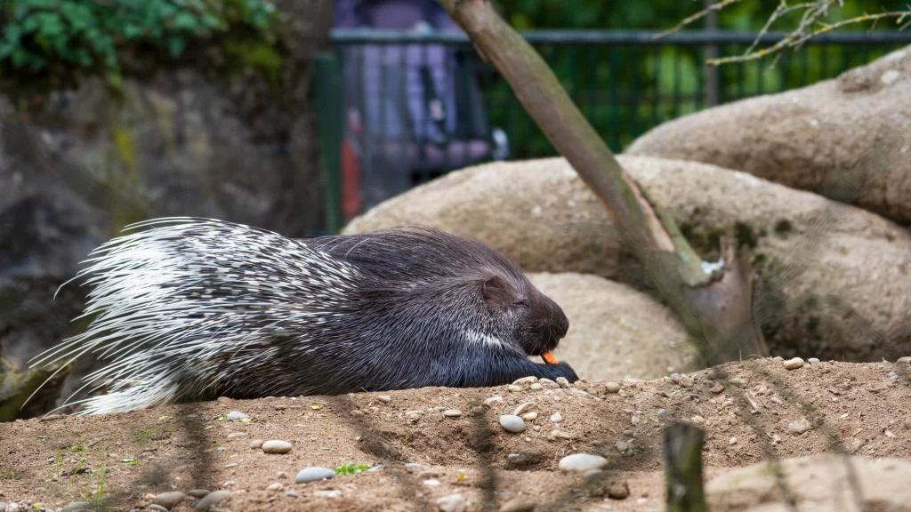 © Zoo Basel © Zoo Basel