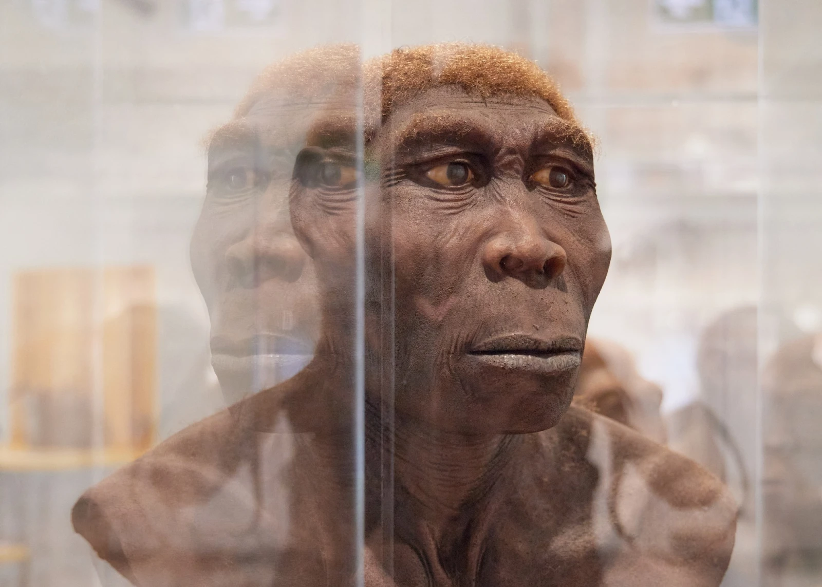 Radio Zürisee entdeckt – KULTURAMA, © KULTURAMA - Museum des Menschen Radio Zürisee entdeckt – KULTURAMA, © KULTURAMA - Museum des Menschen