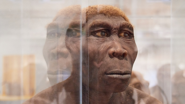 Radio Zürisee entdeckt - KULTURAMA Museum des Menschen, © KULTURAMA - Museum des Menschen