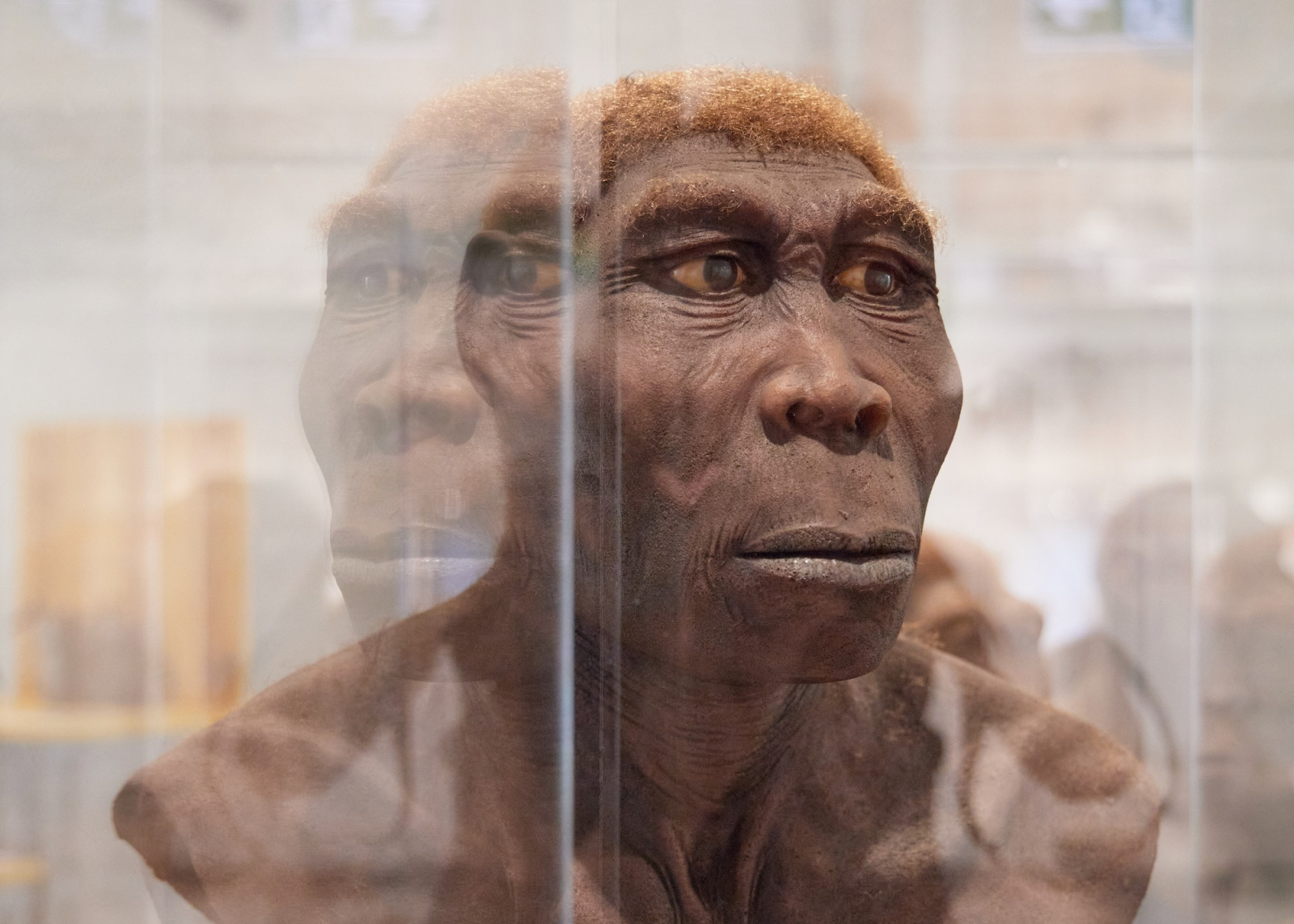 Radio Zürisee entdeckt – KULTURAMA, © KULTURAMA - Museum des Menschen