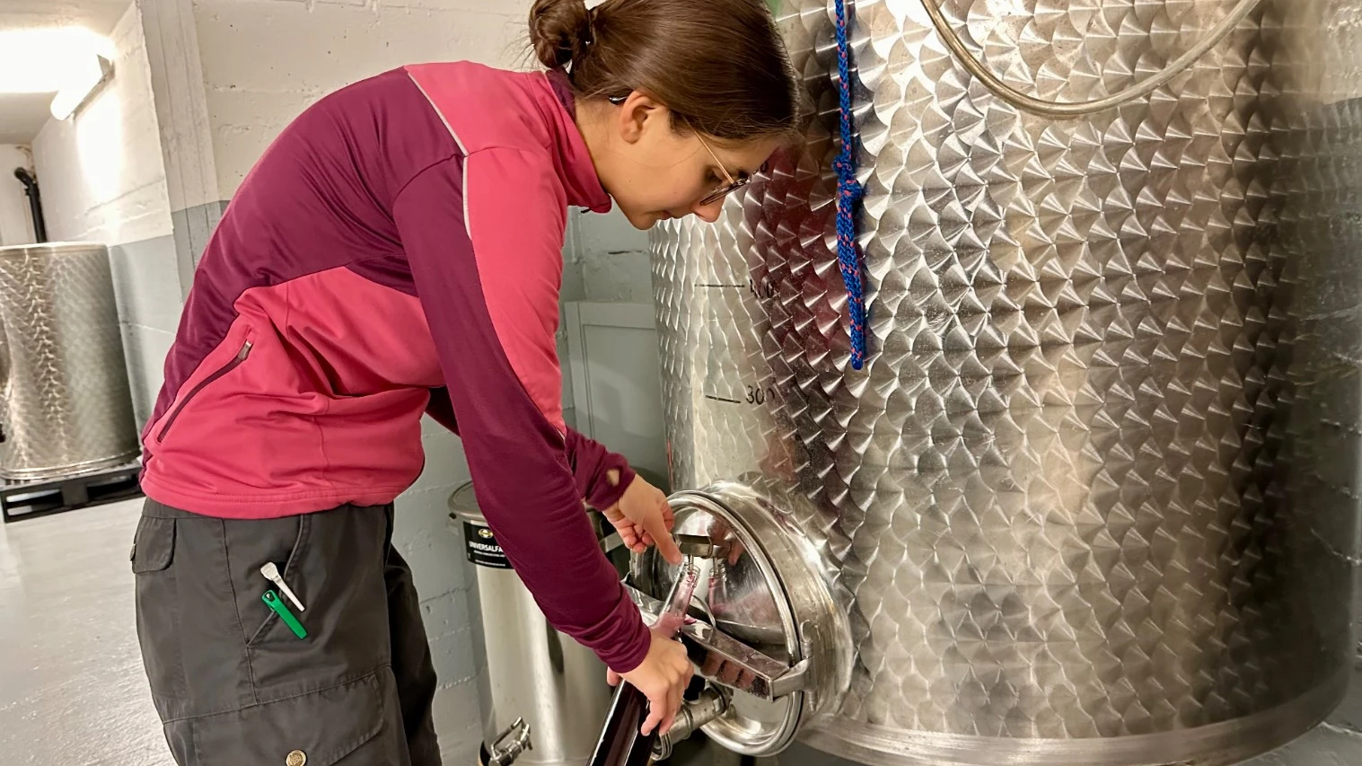 Fürstlichen Hofkellerei: Eher wenig Wein aber hohe Qualität, © Radio Liechtenstein Fürstlichen Hofkellerei: Eher wenig Wein aber hohe Qualität, © Radio Liechtenstein