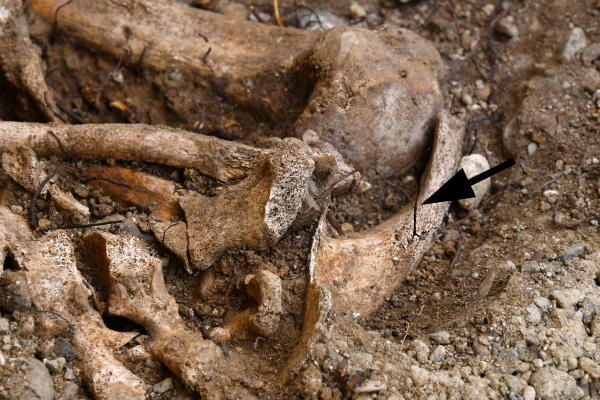 © Kantonsarchäologie Schaffhausen