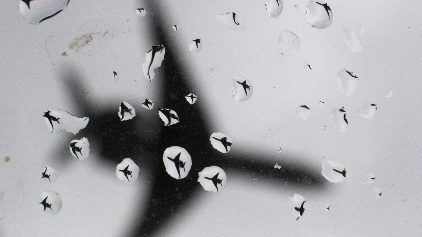 Fließem’de Tek Motorlu Uçak Kazası: İki Kişi Hayatını Kaybetti, © Julian Stratenschulte/dpa Fließem’de Tek Motorlu Uçak Kazası: İki Kişi Hayatını Kaybetti, © Julian Stratenschulte/dpa